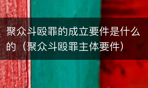 聚众斗殴罪的成立要件是什么的（聚众斗殴罪主体要件）