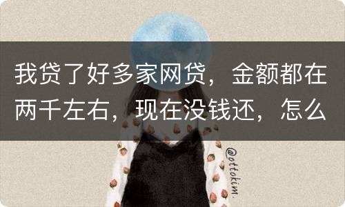 我贷了好多家网贷，金额都在两千左右，现在没钱还，怎么办呢