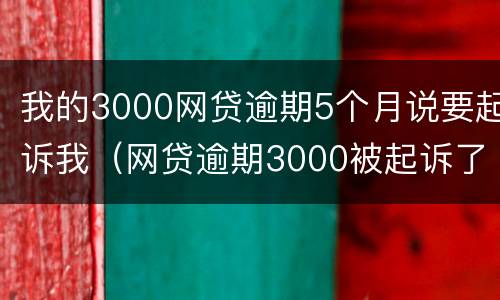 我的3000网贷逾期5个月说要起诉我（网贷逾期3000被起诉了怎么办）