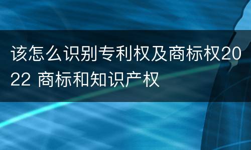 该怎么识别专利权及商标权2022 商标和知识产权