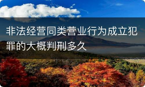 非法经营同类营业行为成立犯罪的大概判刑多久