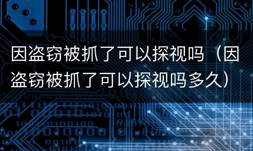 因盗窃被抓了可以探视吗（因盗窃被抓了可以探视吗多久）