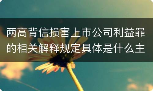 两高背信损害上市公司利益罪的相关解释规定具体是什么主要内容
