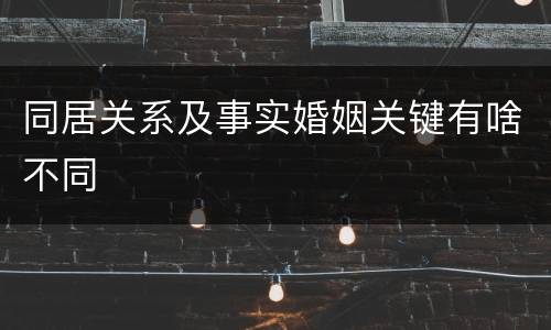 同居关系及事实婚姻关键有啥不同