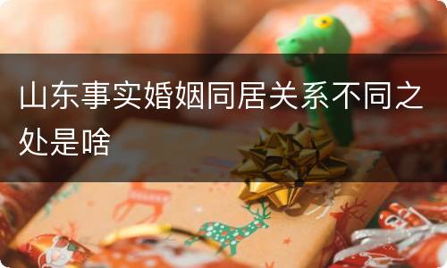 山东事实婚姻同居关系不同之处是啥