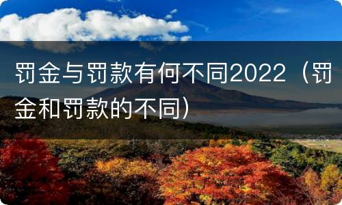 罚金与罚款有何不同2022（罚金和罚款的不同）