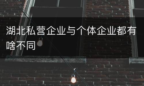 湖北私营企业与个体企业都有啥不同