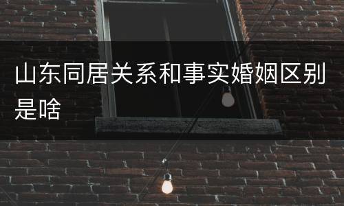 山东同居关系和事实婚姻区别是啥