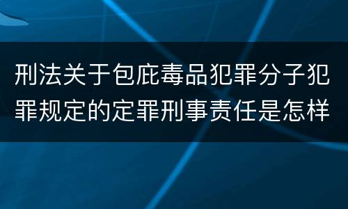 刑法关于包庇毒品犯罪分子犯罪规定的定罪刑事责任是怎样的