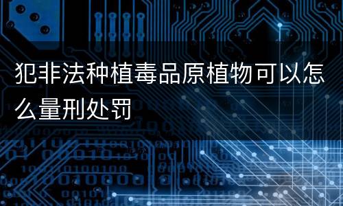 犯非法种植毒品原植物可以怎么量刑处罚