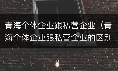 青海个体企业跟私营企业（青海个体企业跟私营企业的区别）