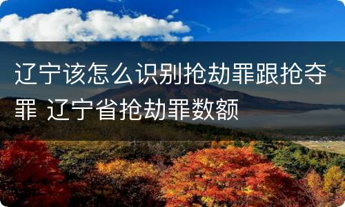 辽宁该怎么识别抢劫罪跟抢夺罪 辽宁省抢劫罪数额