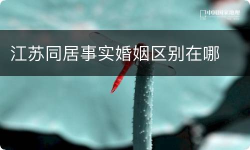江苏同居事实婚姻区别在哪