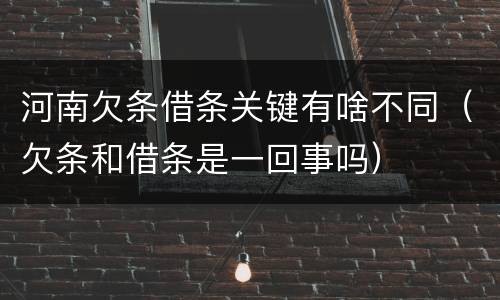 河南欠条借条关键有啥不同（欠条和借条是一回事吗）