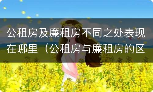 公租房及廉租房不同之处表现在哪里（公租房与廉租房的区别都在此,别再搞错了!）