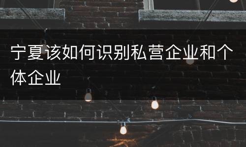 宁夏该如何识别私营企业和个体企业