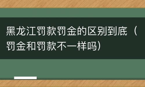 黑龙江罚款罚金的区别到底（罚金和罚款不一样吗）