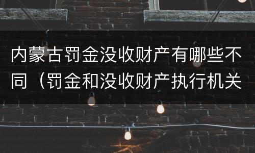 内蒙古罚金没收财产有哪些不同（罚金和没收财产执行机关）