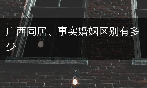广西同居、事实婚姻区别有多少