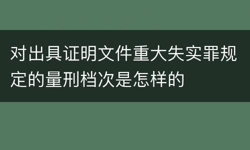 对出具证明文件重大失实罪规定的量刑档次是怎样的