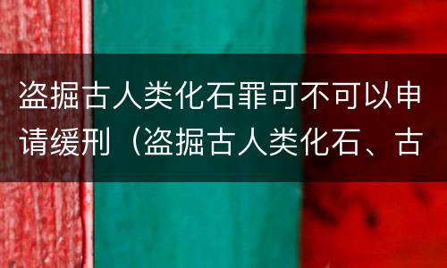 盗掘古人类化石罪可不可以申请缓刑（盗掘古人类化石、古脊椎动物化石罪）