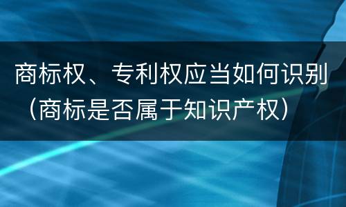商标权、专利权应当如何识别（商标是否属于知识产权）