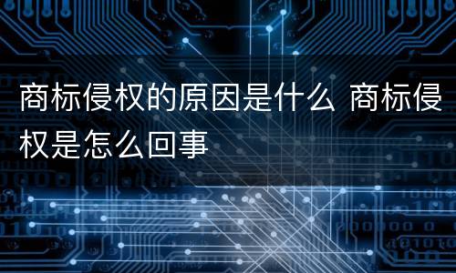 商标侵权的原因是什么 商标侵权是怎么回事