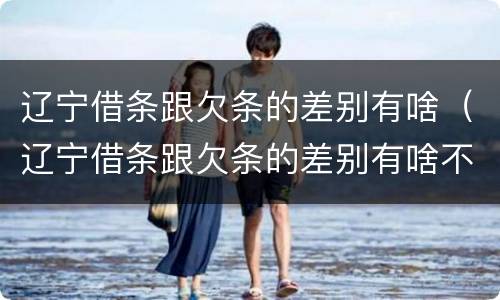 辽宁借条跟欠条的差别有啥（辽宁借条跟欠条的差别有啥不一样）