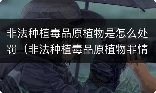 非法种植毒品原植物是怎么处罚（非法种植毒品原植物罪情节严重）
