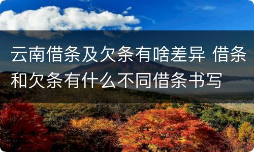 云南借条及欠条有啥差异 借条和欠条有什么不同借条书写