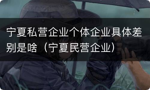 宁夏私营企业个体企业具体差别是啥（宁夏民营企业）