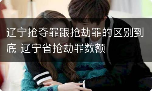 辽宁抢夺罪跟抢劫罪的区别到底 辽宁省抢劫罪数额