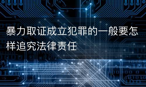 暴力取证成立犯罪的一般要怎样追究法律责任