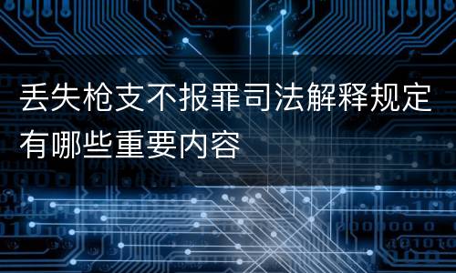 丢失枪支不报罪司法解释规定有哪些重要内容