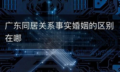 广东同居关系事实婚姻的区别在哪