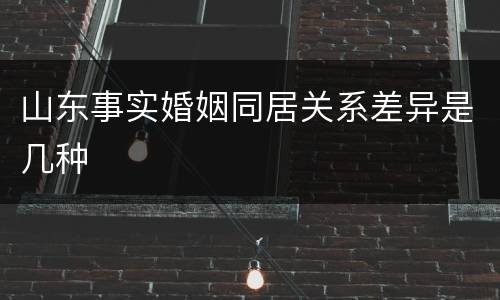 山东事实婚姻同居关系差异是几种