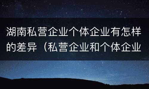 湖南私营企业个体企业有怎样的差异（私营企业和个体企业有什么区别）