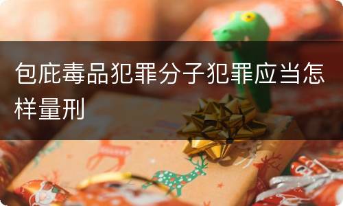 包庇毒品犯罪分子犯罪应当怎样量刑