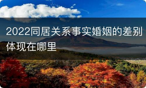 2022同居关系事实婚姻的差别体现在哪里