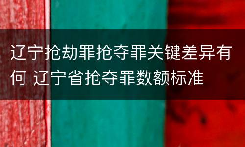 辽宁抢劫罪抢夺罪关键差异有何 辽宁省抢夺罪数额标准