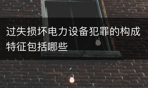 过失损坏电力设备犯罪的构成特征包括哪些