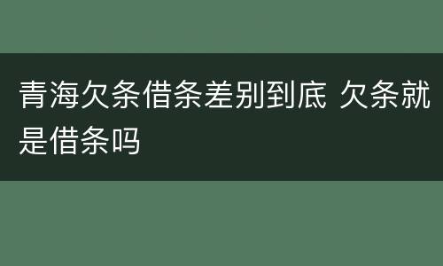 青海欠条借条差别到底 欠条就是借条吗