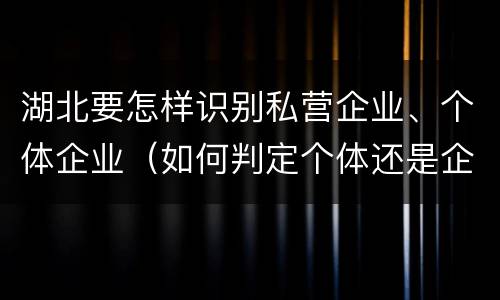 湖北要怎样识别私营企业、个体企业（如何判定个体还是企业）