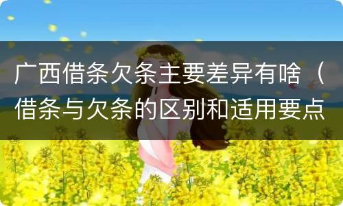 广西借条欠条主要差异有啥（借条与欠条的区别和适用要点）
