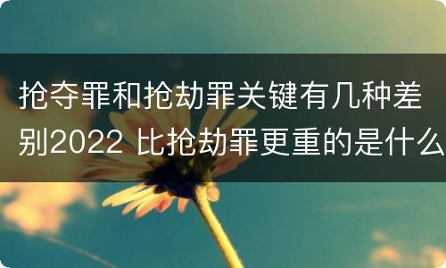 抢夺罪和抢劫罪关键有几种差别2022 比抢劫罪更重的是什么