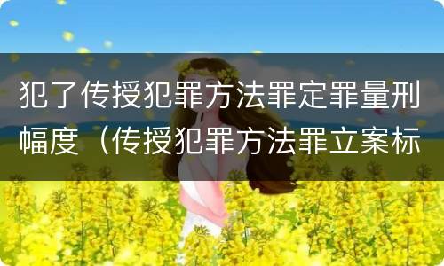 犯了传授犯罪方法罪定罪量刑幅度（传授犯罪方法罪立案标准）