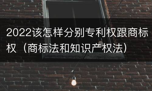 2022该怎样分别专利权跟商标权（商标法和知识产权法）