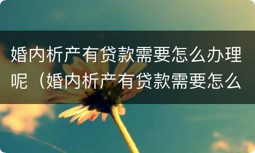 婚内析产有贷款需要怎么办理呢（婚内析产有贷款需要怎么办理呢知乎）