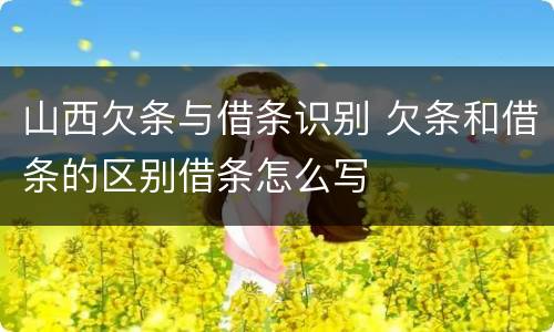 山西欠条与借条识别 欠条和借条的区别借条怎么写