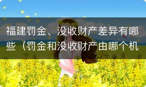 福建罚金、没收财产差异有哪些（罚金和没收财产由哪个机关执行）